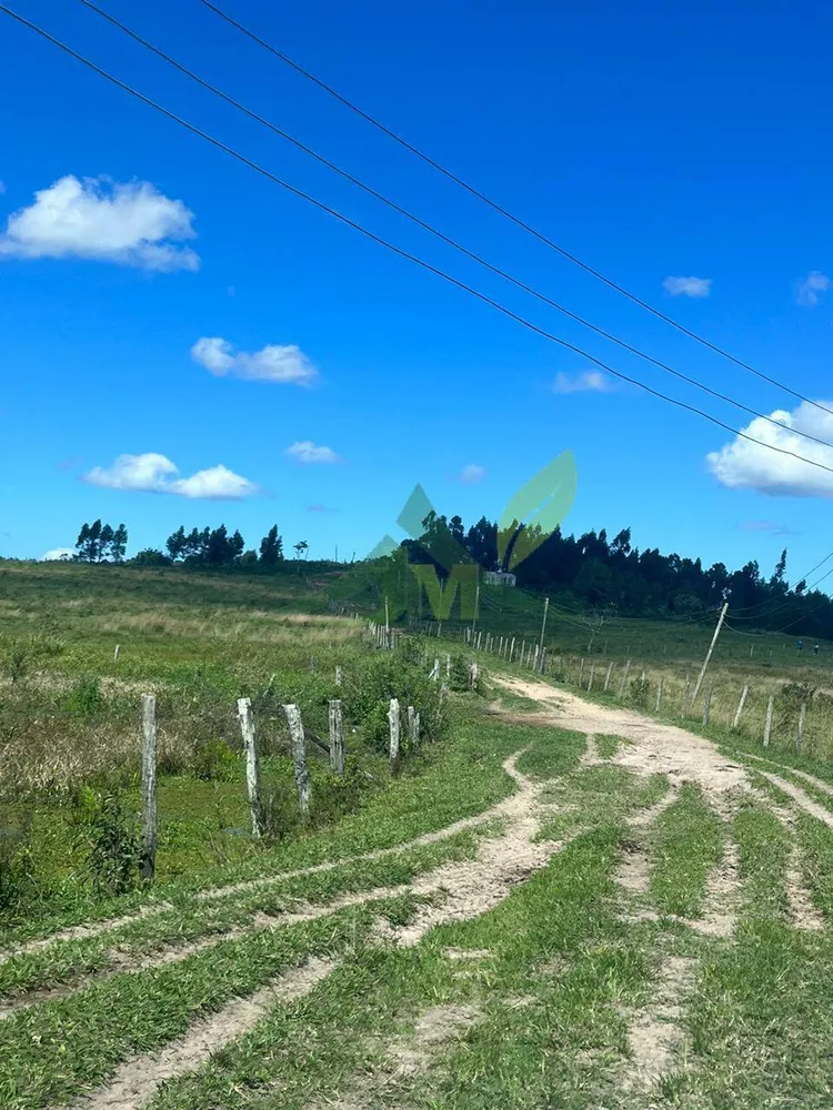 Fazenda, 126 hectares - Foto 8
