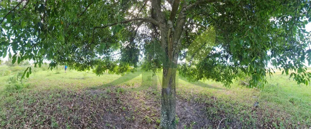 Fazenda, 126 hectares - Foto 20