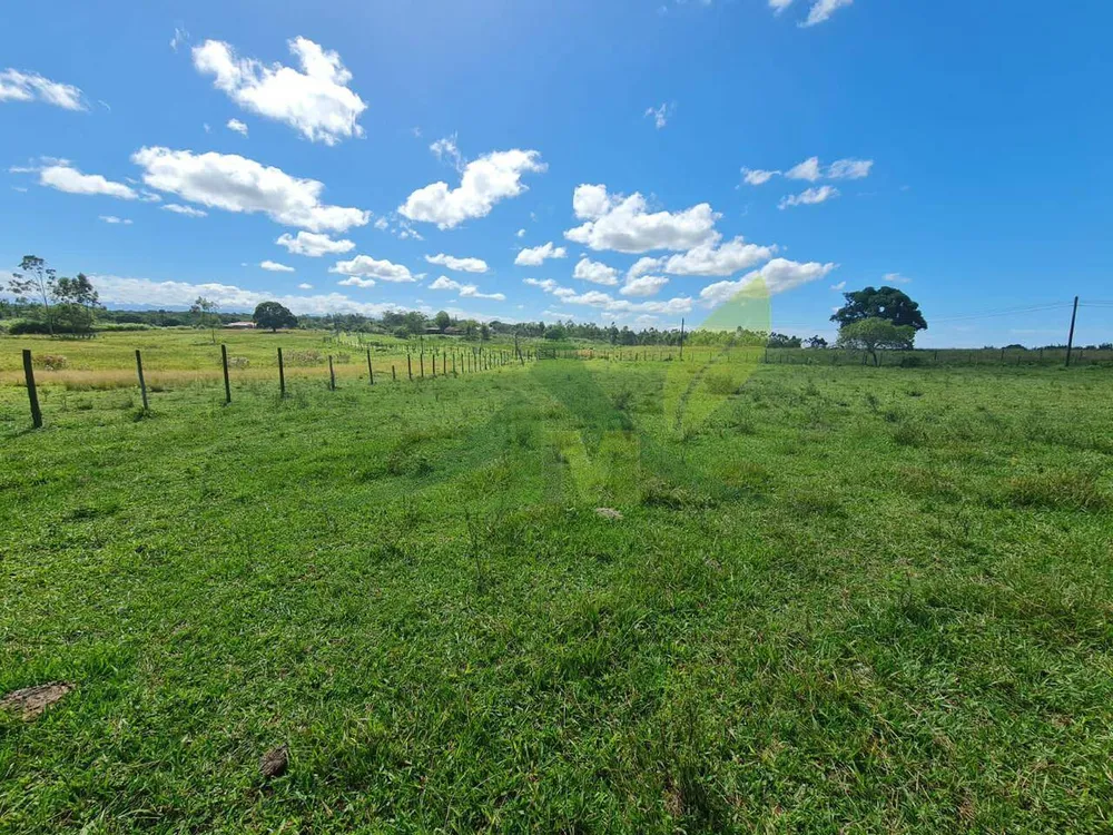 Fazenda, 126 hectares - Foto 25