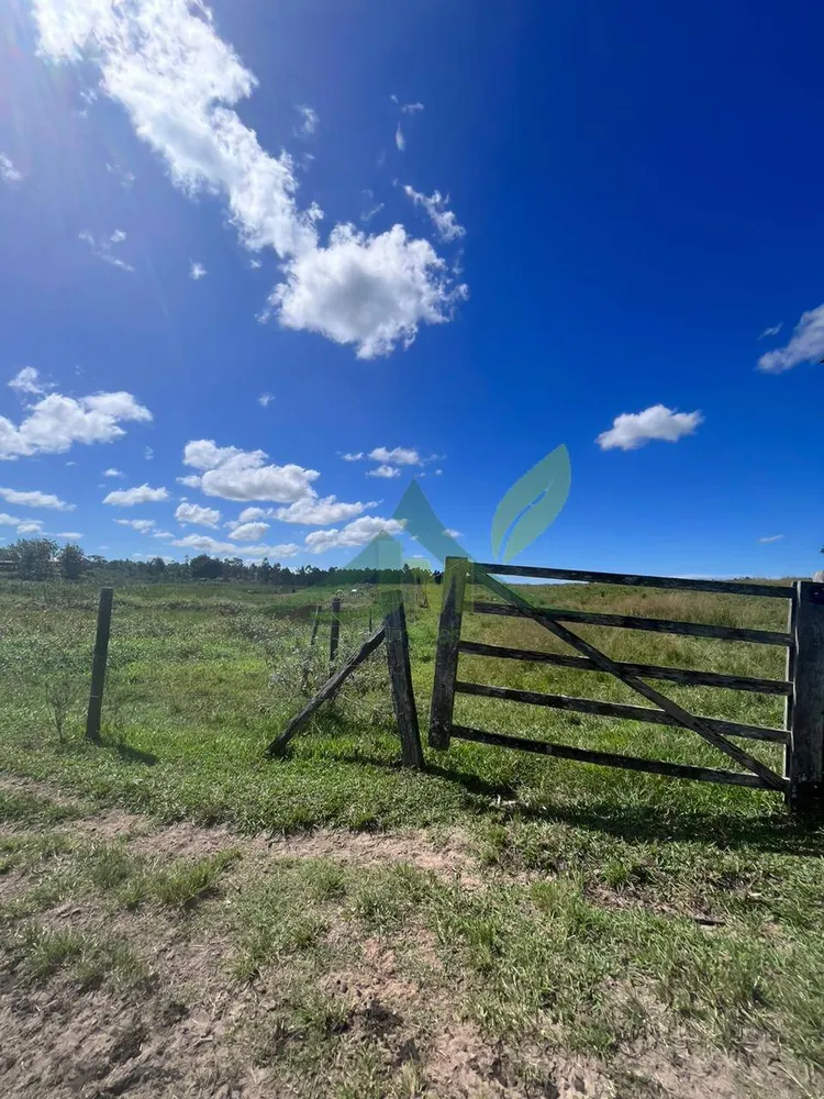 Fazenda, 126 hectares - Foto 23