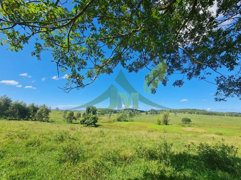 Fazenda, 126 hectares - Foto 24