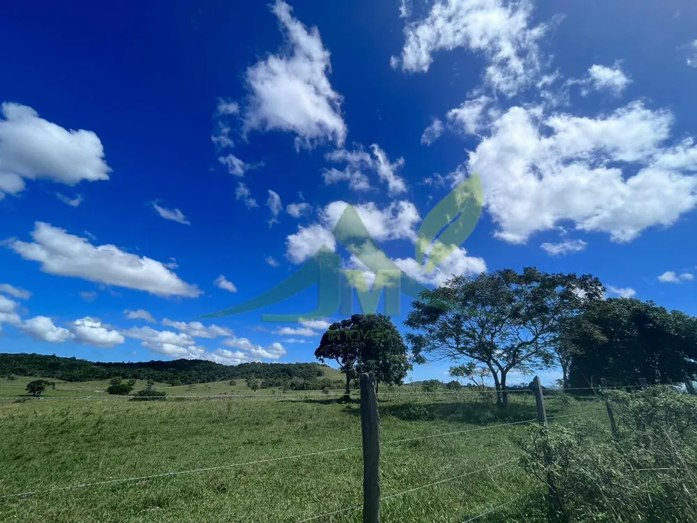 Fazenda, 126 hectares - Foto 16