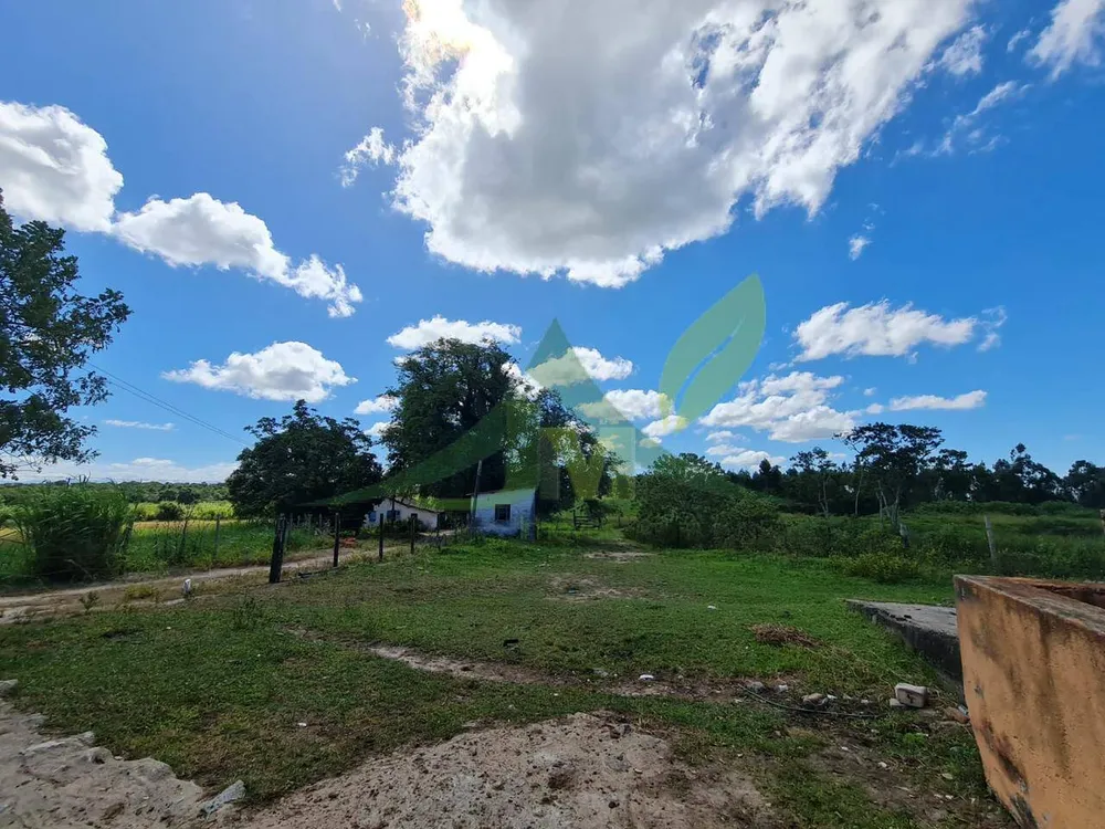 Fazenda, 126 hectares - Foto 12