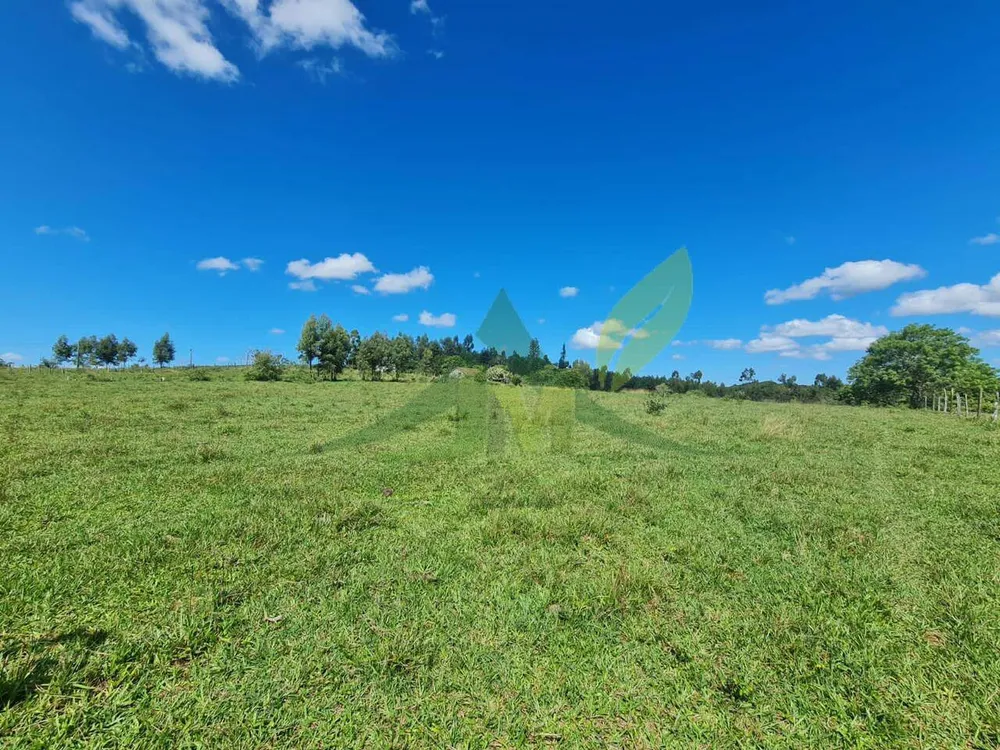 Fazenda, 126 hectares - Foto 22
