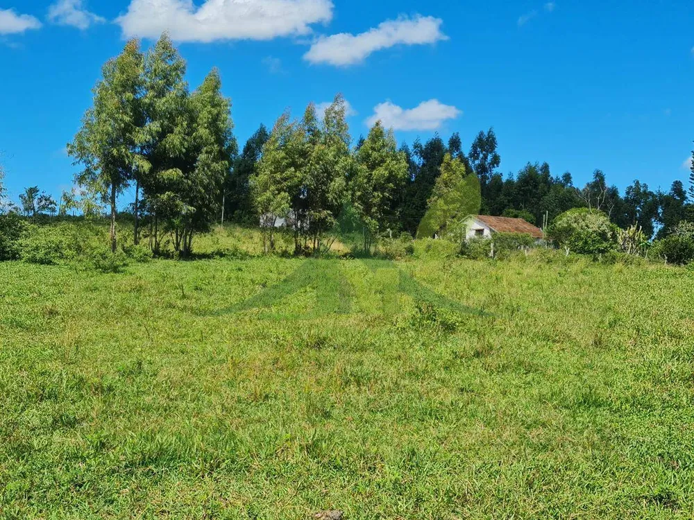 Fazenda, 126 hectares - Foto 27