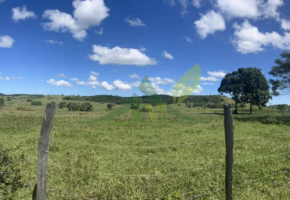 Fazenda, 126 hectares - Foto 26