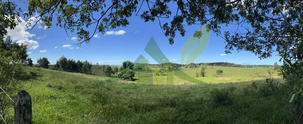 Fazenda, 126 hectares - Foto 13