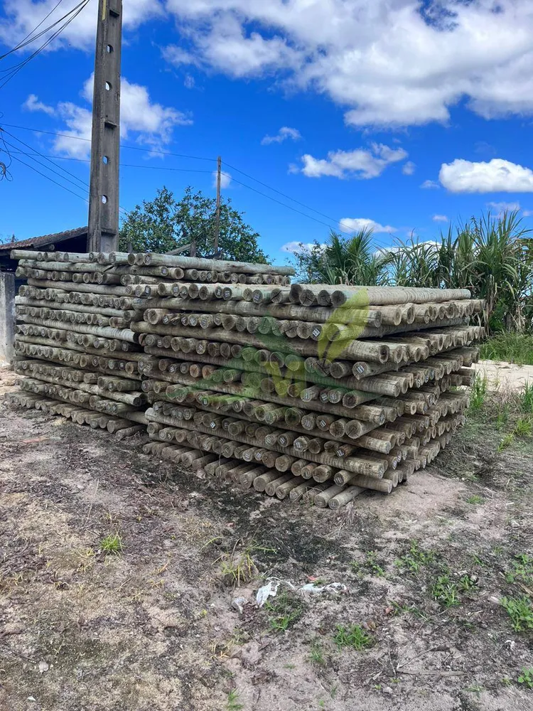 Fazenda, 126 hectares - Foto 19