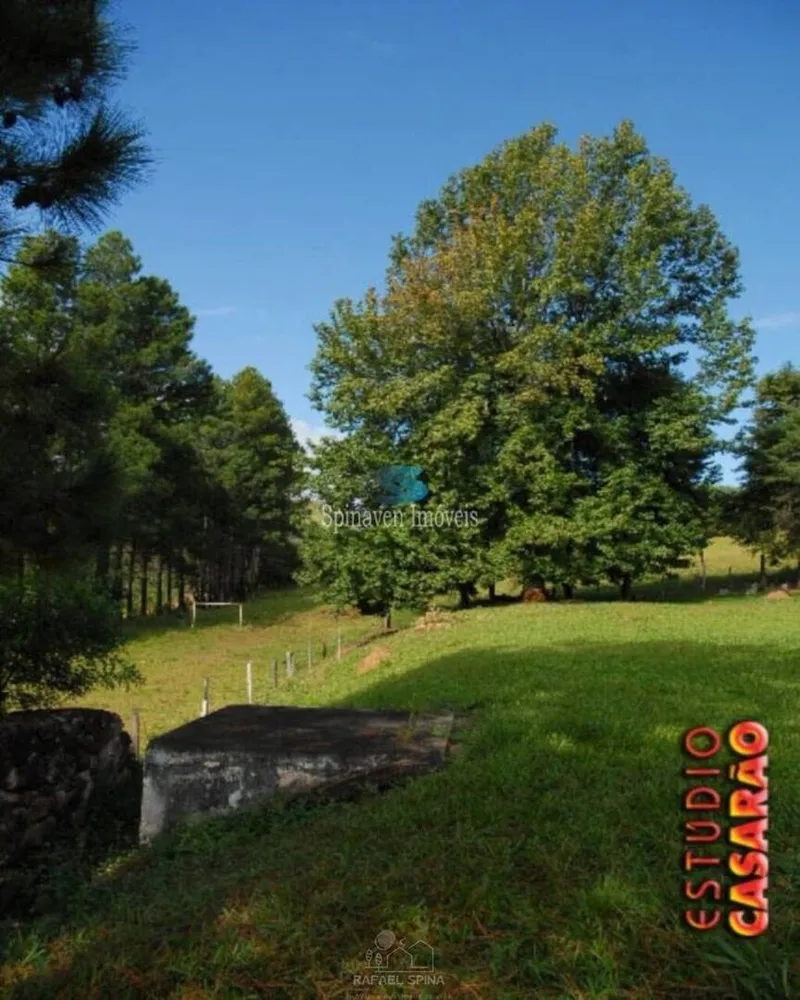 Terreno - Foto 4