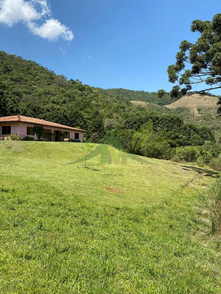 Sítio, 4 quartos, 70 hectares - Foto 9