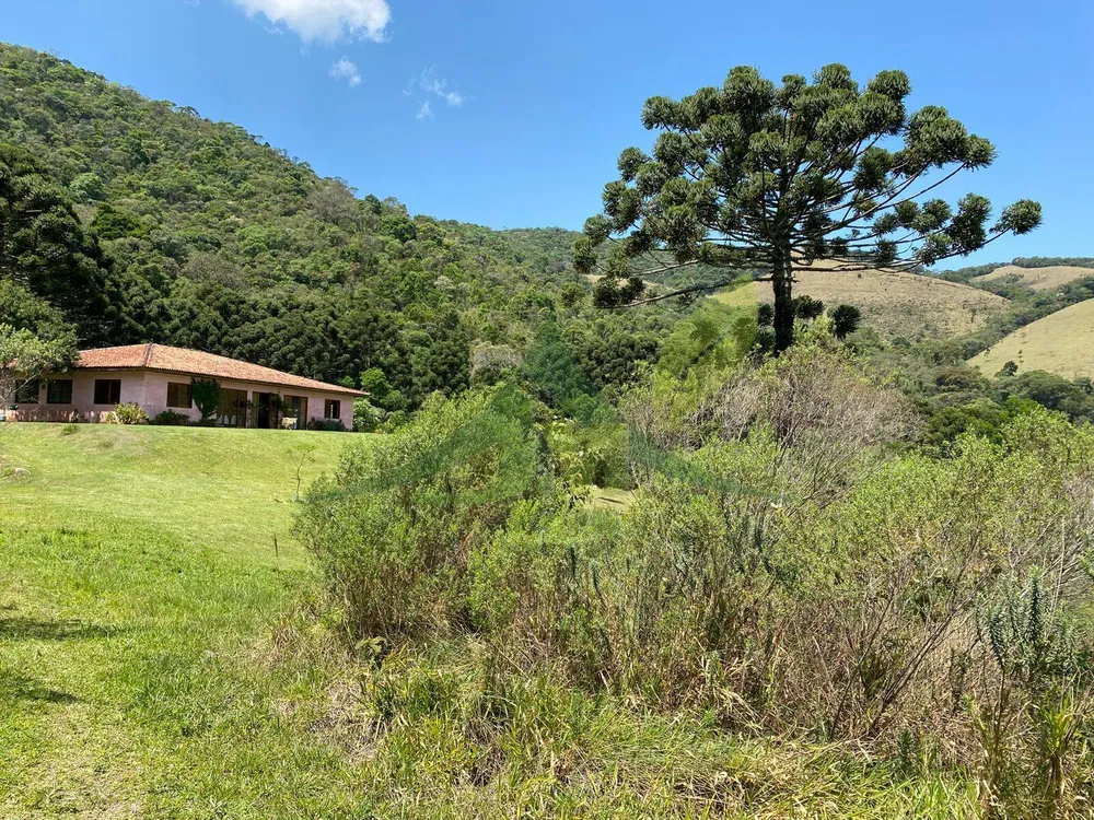 Sítio, 4 quartos, 70 hectares - Foto 8