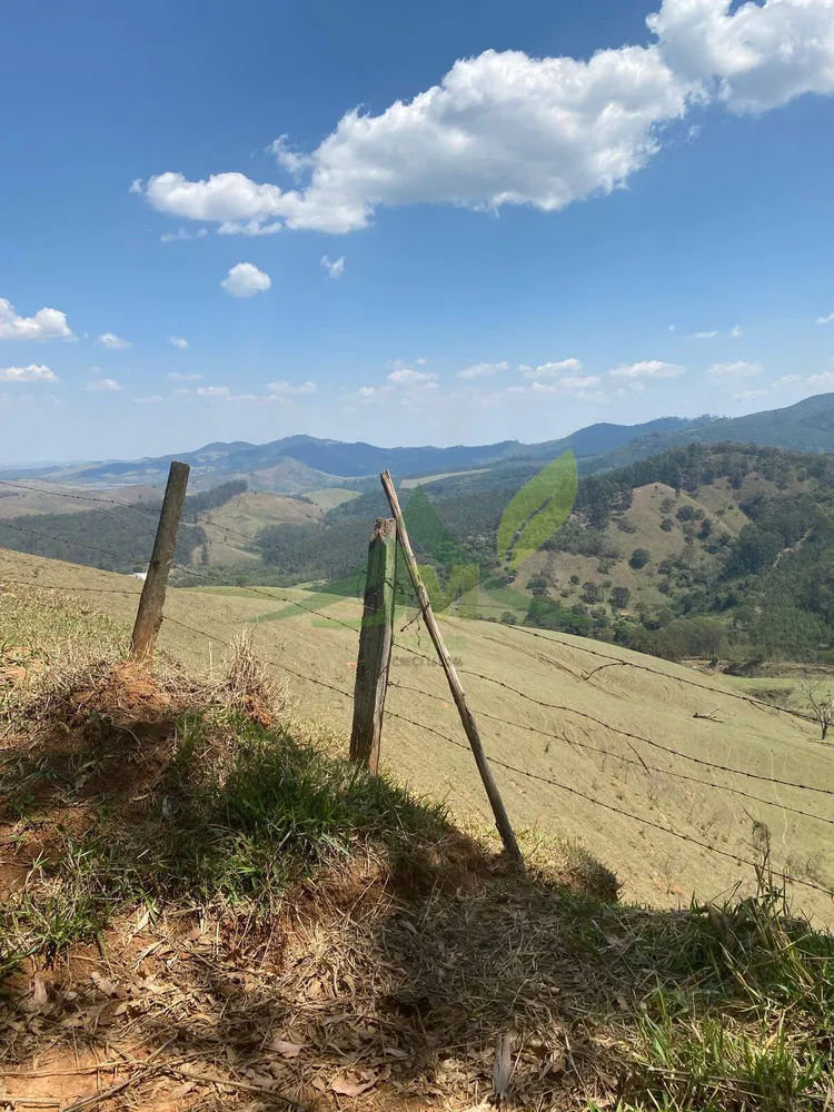 Sítio, 4 quartos, 70 hectares - Foto 1