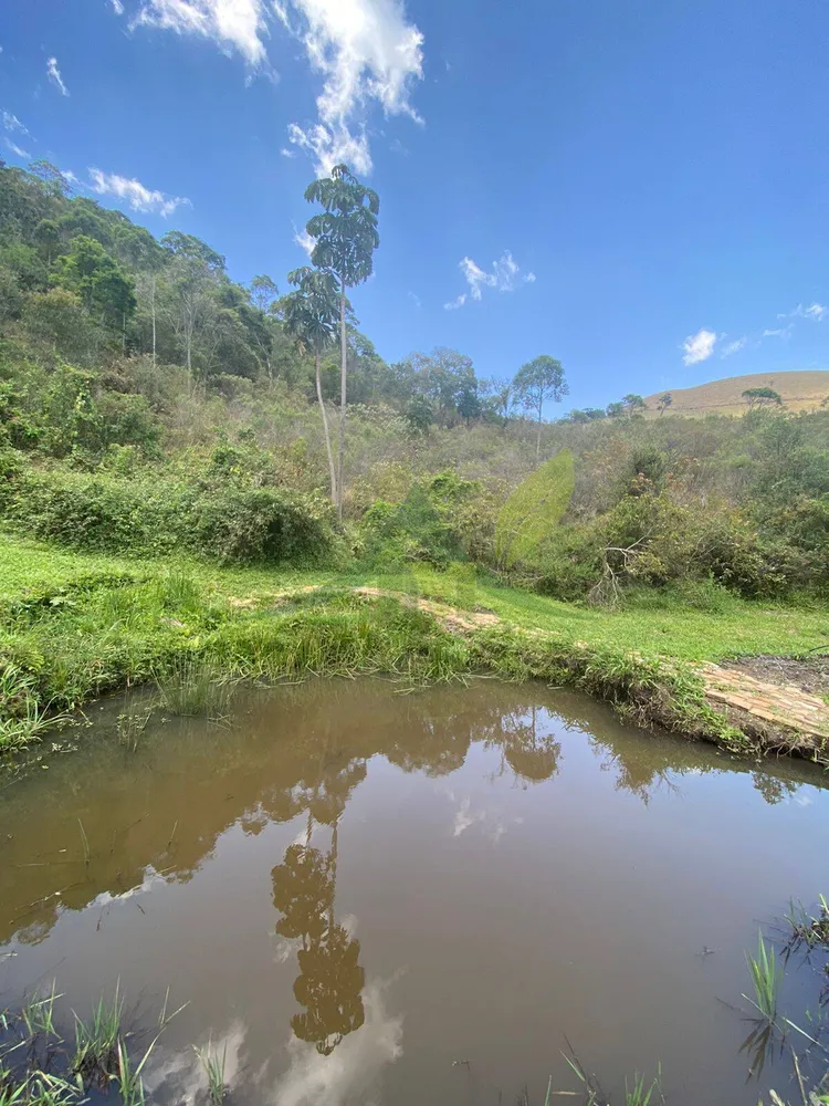 Sítio, 4 quartos, 70 hectares - Foto 3