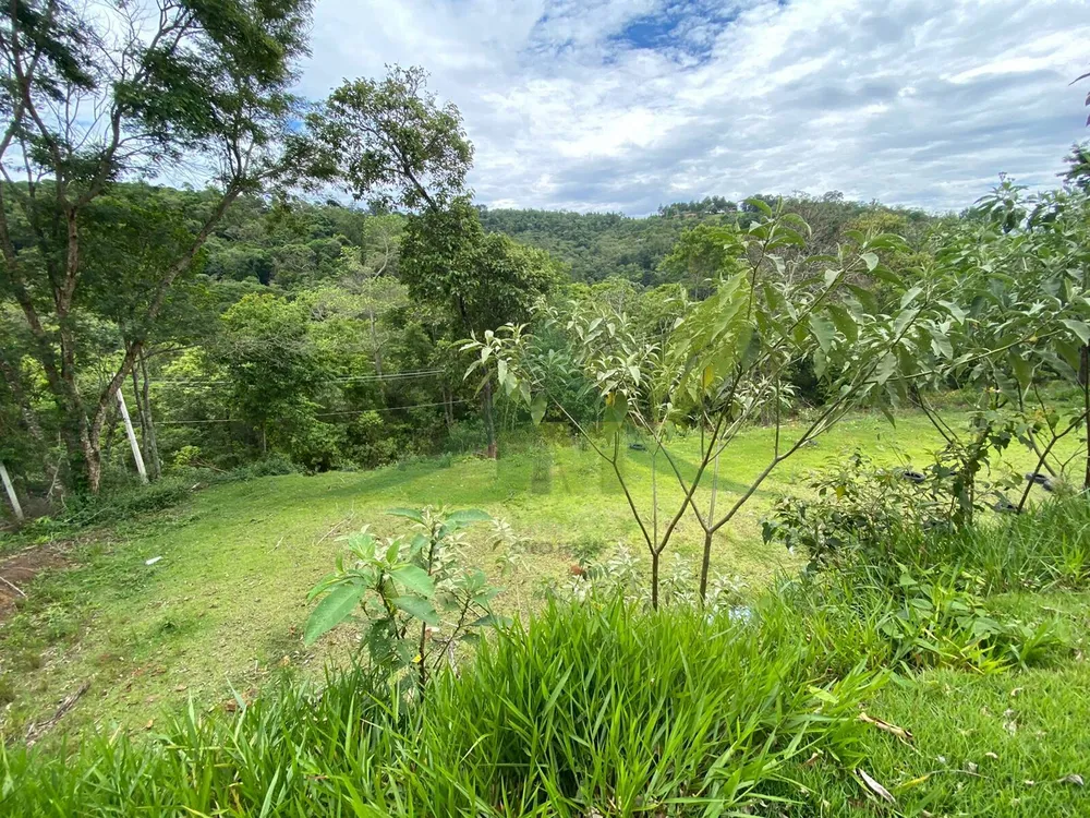 Sítio, 3 quartos, 5100 m² - Foto 1
