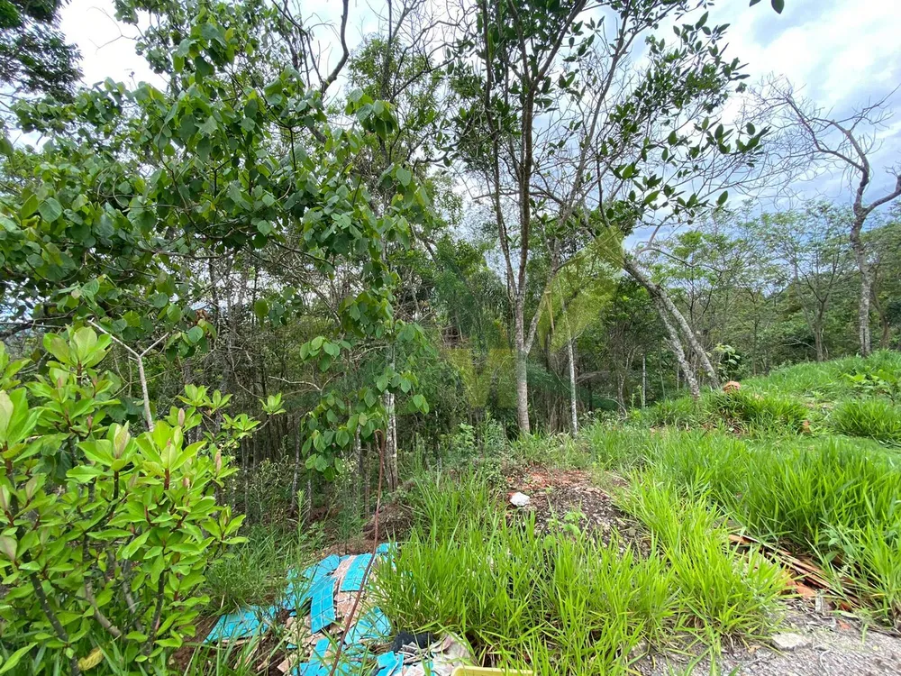 Chácara, 3 quartos, 5100 m² - Foto 12