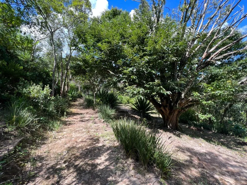 Terreno - Foto 3