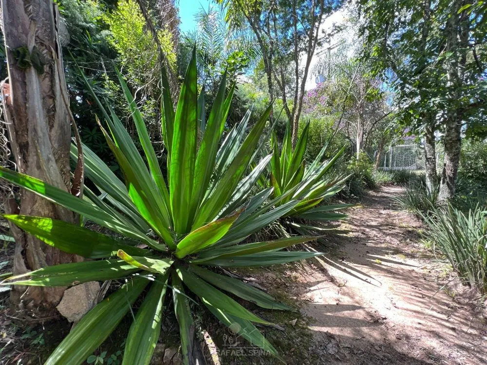 Terreno - Foto 1