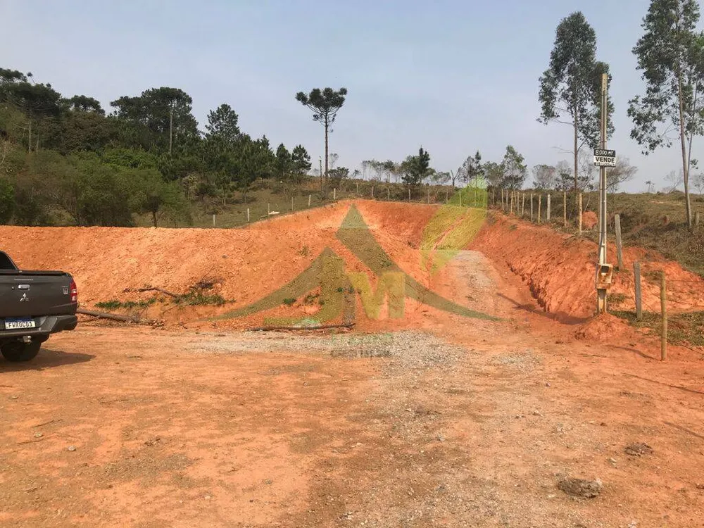 Terreno, 8000 m² - Foto 6