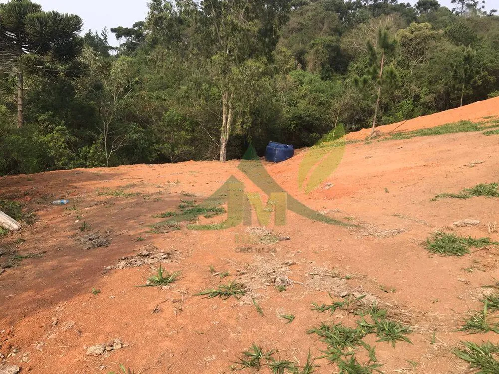 Terreno, 8000 m² - Foto 8