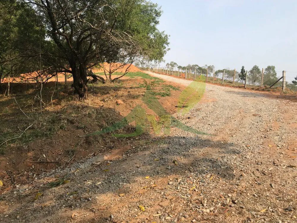 Terreno, 8000 m² - Foto 12