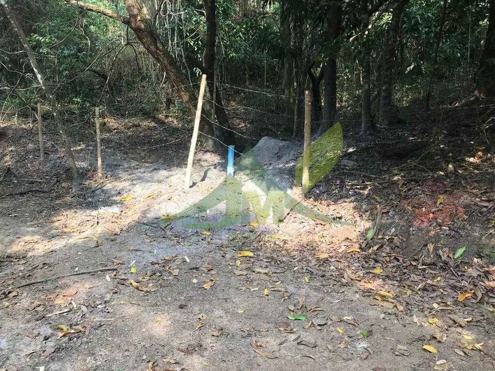Terreno, 8000 m² - Foto 13