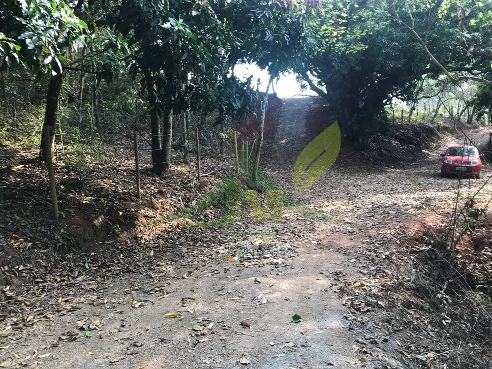 Terreno, 8000 m² - Foto 15
