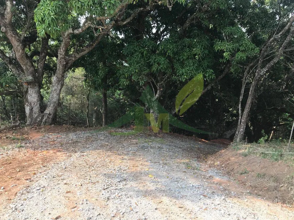 Terreno, 8000 m² - Foto 10
