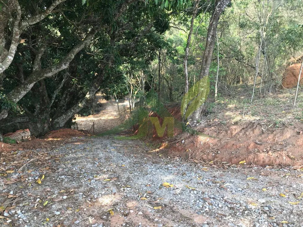 Terreno, 8000 m² - Foto 11
