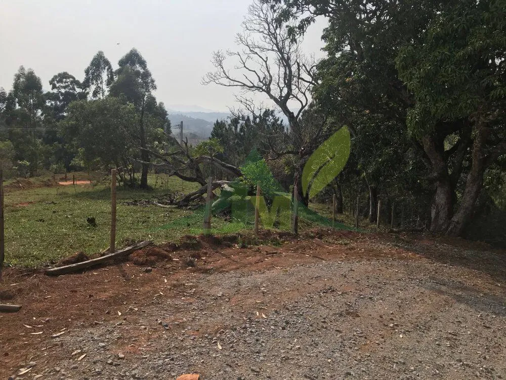 Terreno, 8000 m² - Foto 9