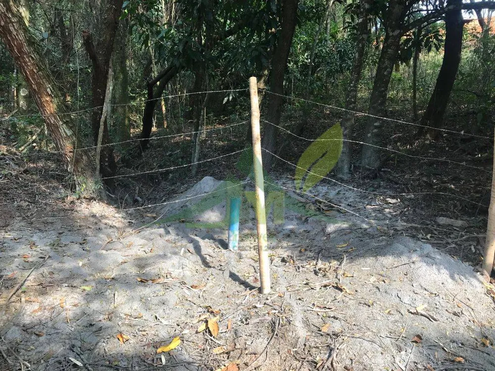 Terreno, 8000 m² - Foto 14