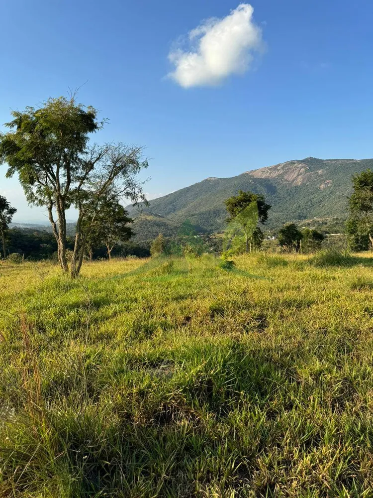 Terreno, 2 hectares - Foto 6