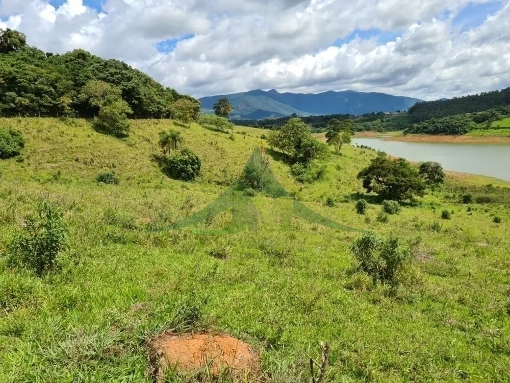 Terreno, 6 hectares - Foto 4
