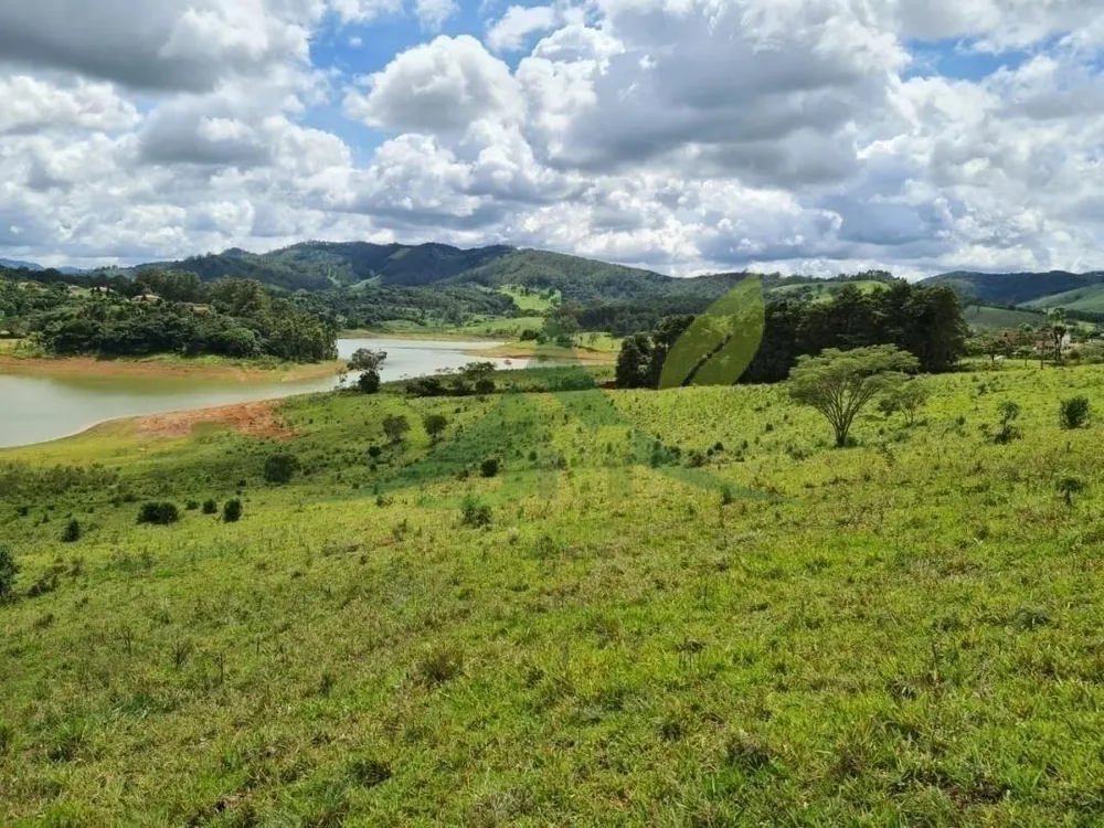 Terreno, 6 hectares - Foto 8