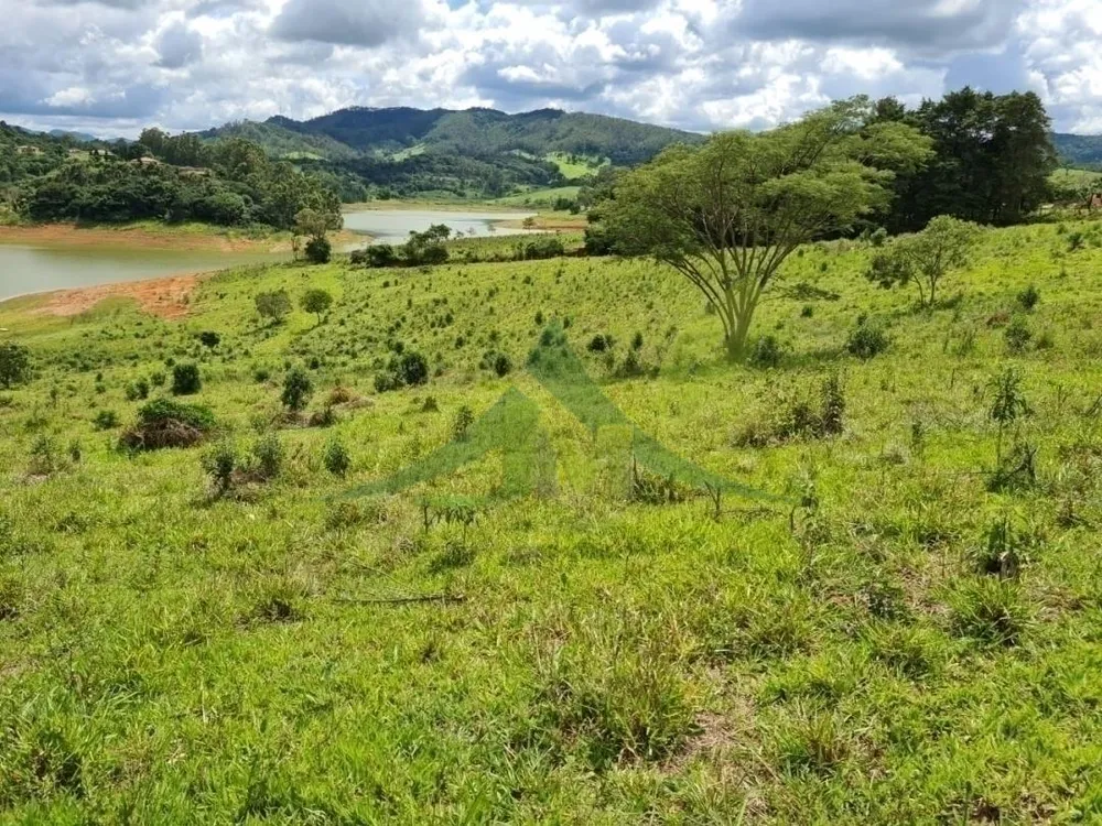 Terreno, 6 hectares - Foto 3
