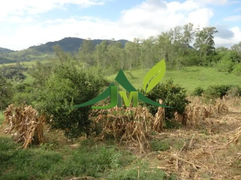 Sítio, 5 quartos, 3 hectares - Foto 11