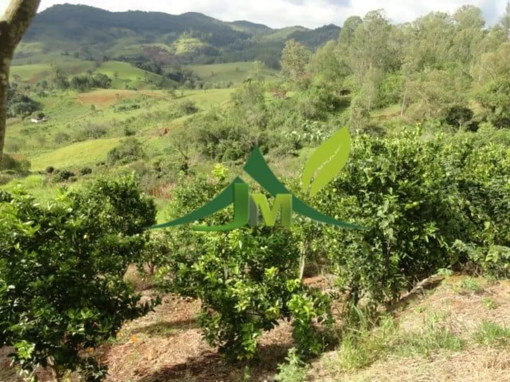 Sítio, 5 quartos, 3 hectares - Foto 10