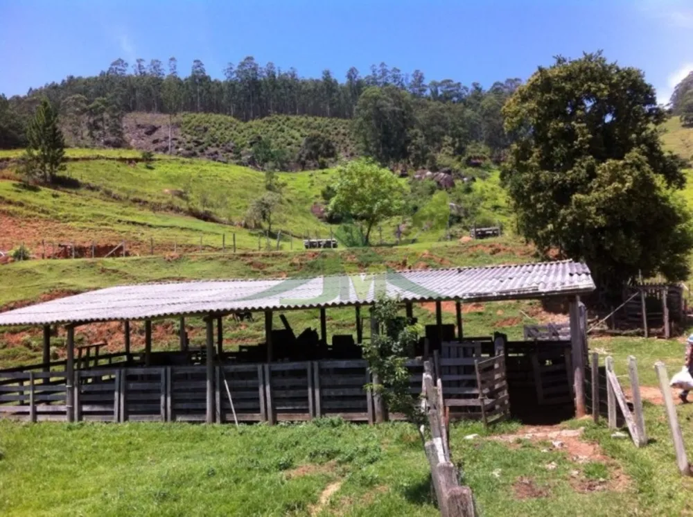 Fazenda, 116 hectares - Foto 4