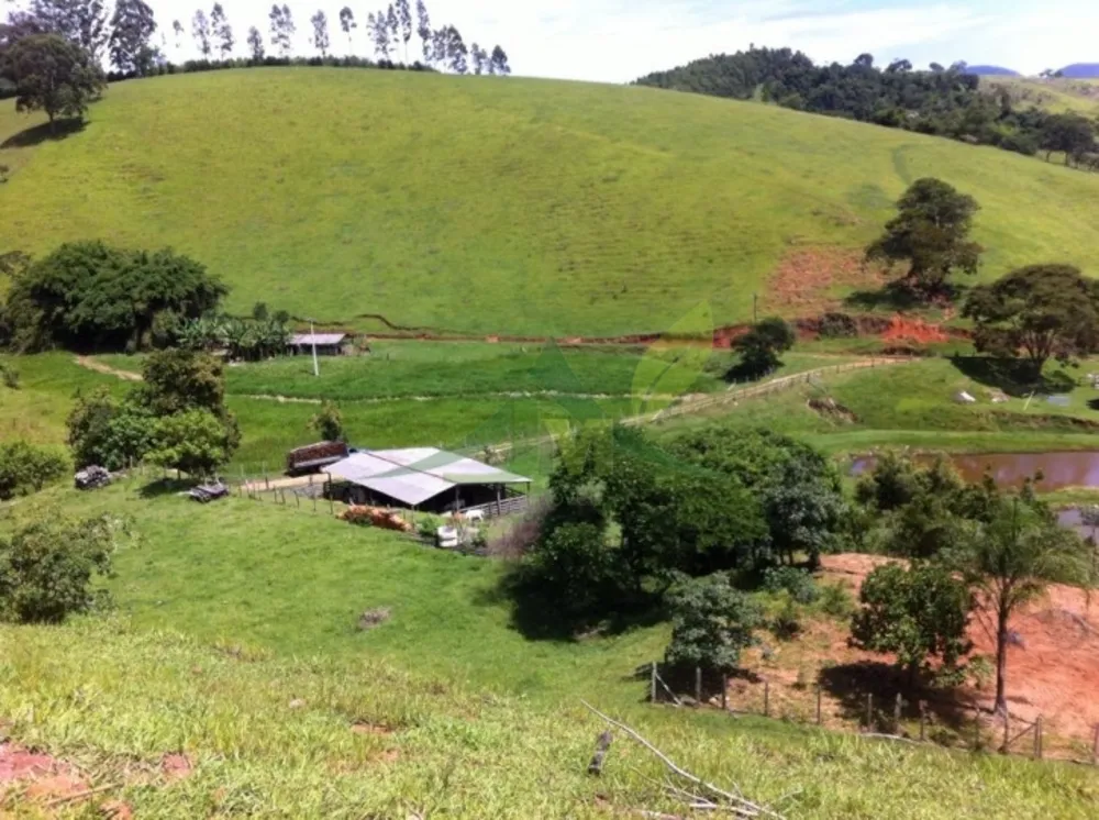 Fazenda, 116 hectares - Foto 8