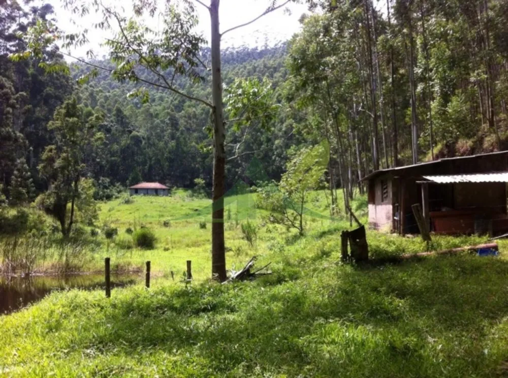 Fazenda, 116 hectares - Foto 6
