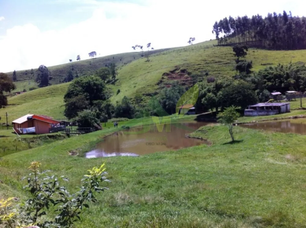 Fazenda, 116 hectares - Foto 3