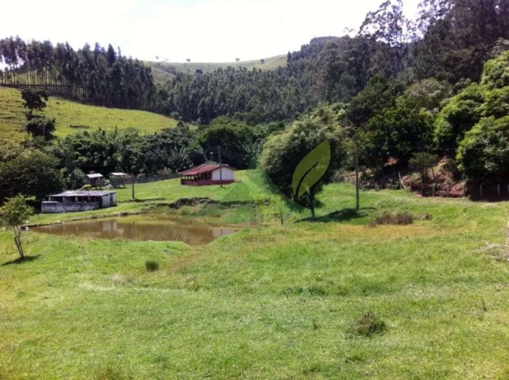 Fazenda, 116 hectares - Foto 7