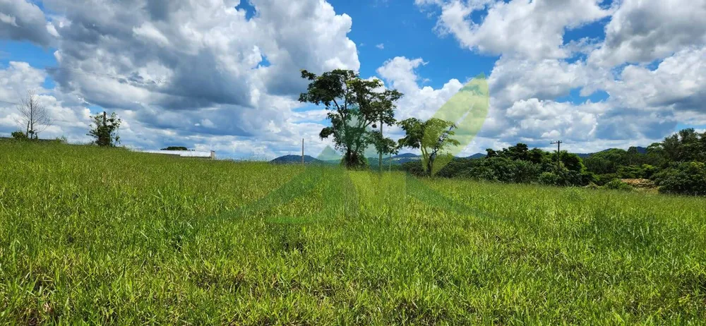 Terreno, 1000 m² - Foto 5