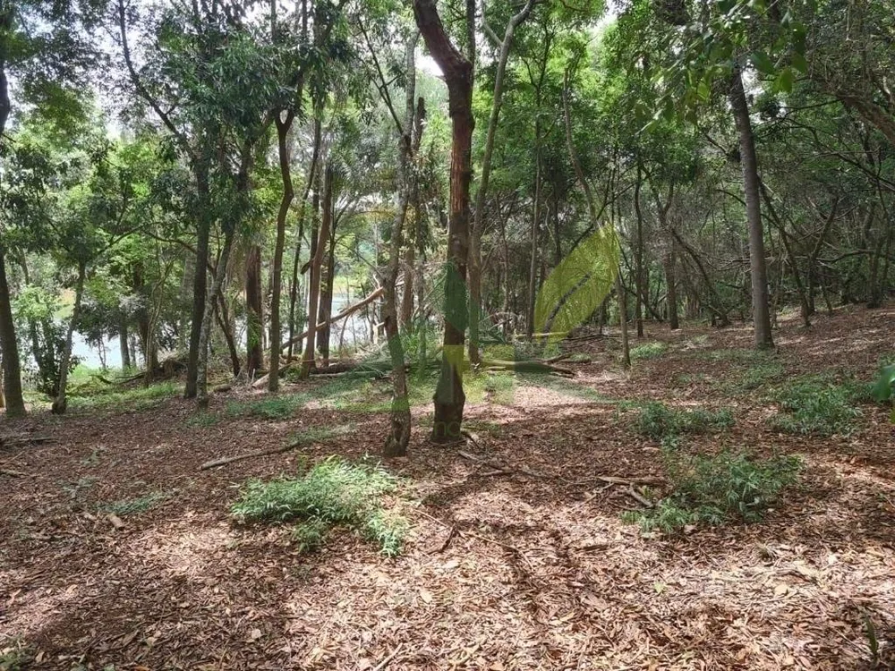 Sítio, 2 quartos, 6000 m² - Foto 5