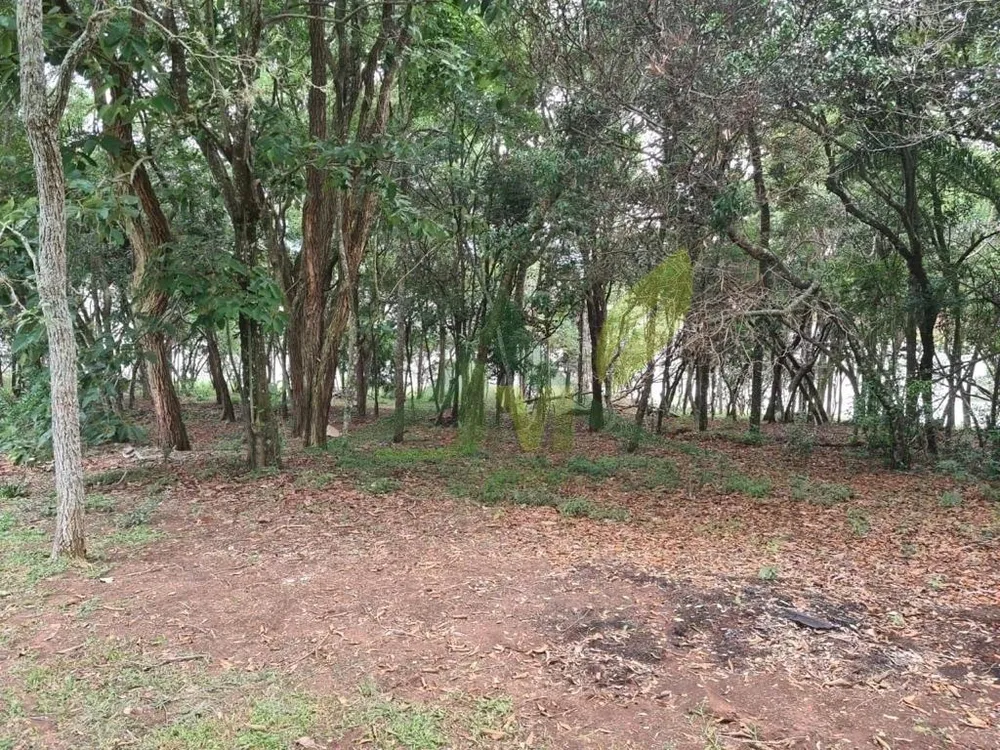 Sítio, 2 quartos, 6000 m² - Foto 9