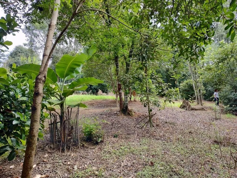 Terreno - Foto 7
