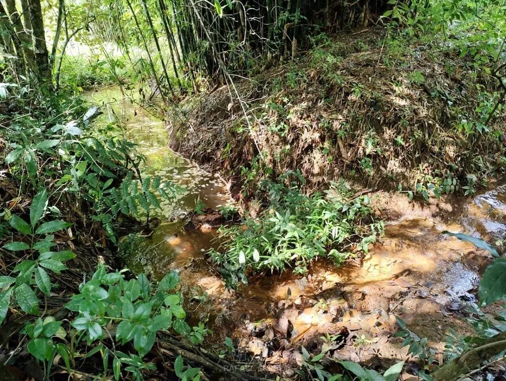 Terreno - Foto 3