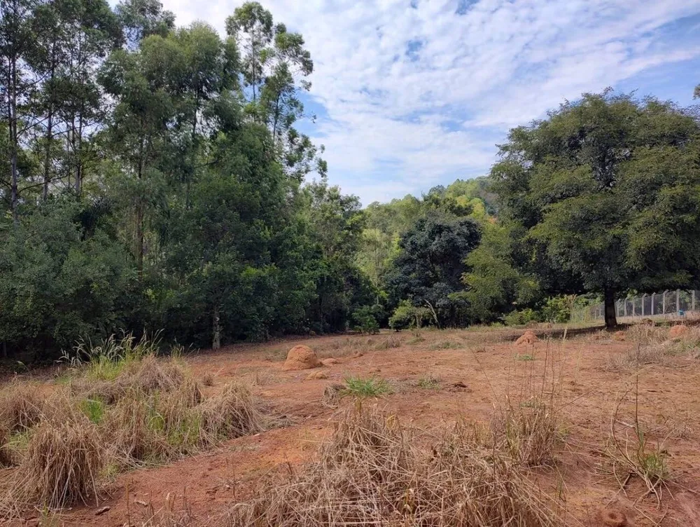 Terreno - Foto 1