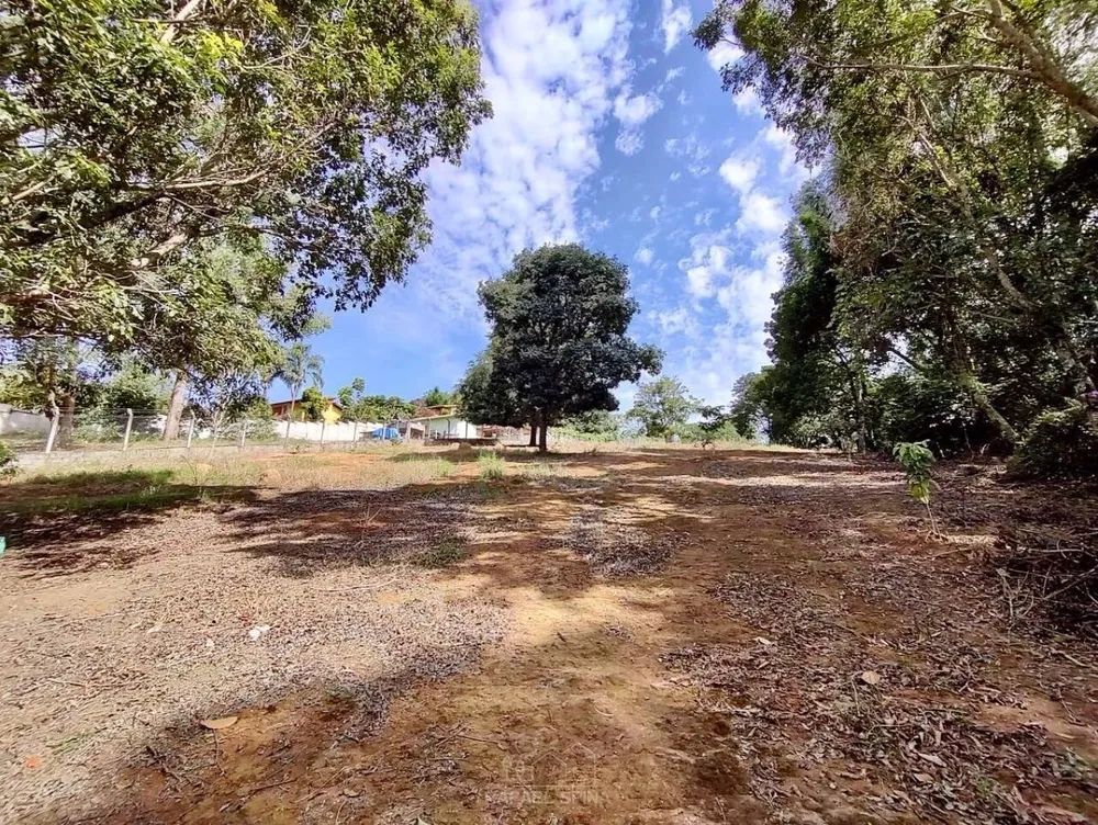 Terreno - Foto 4
