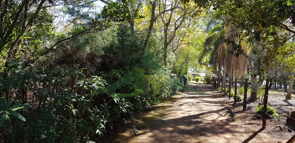 Sítio, 8 quartos, 2 hectares - Foto 8