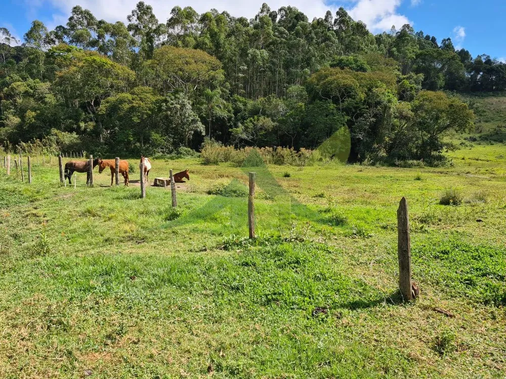 Sítio, 3 quartos, 51 hectares - Foto 10
